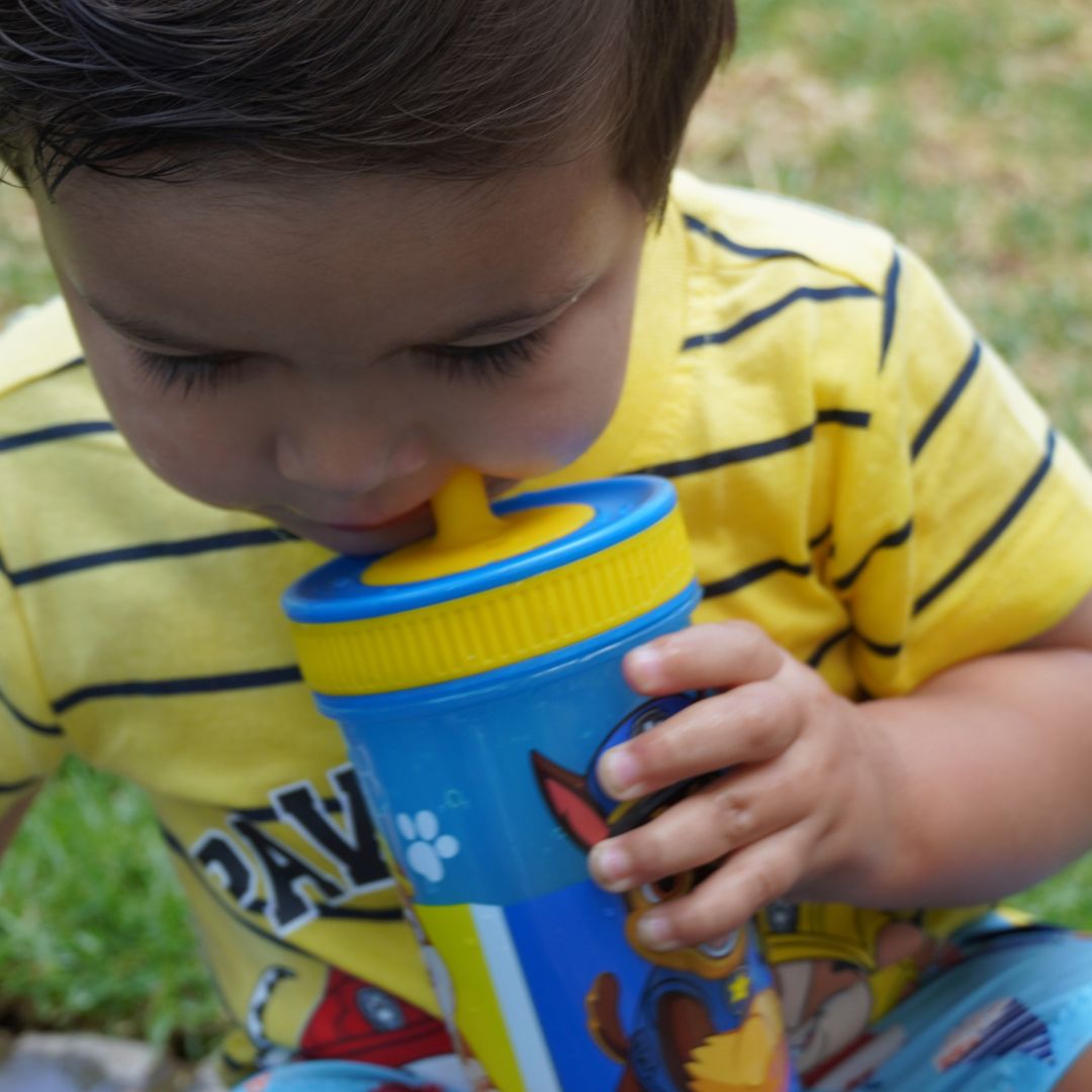 Paw Patrol - Leakproof Silicone Straw Tumbler - 465ml